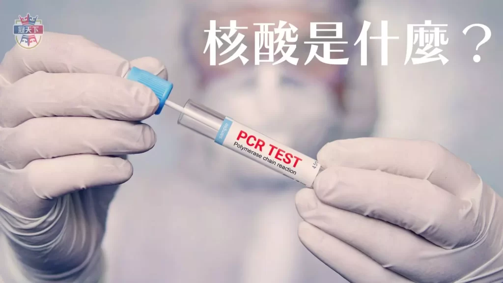 核酸是什麼
