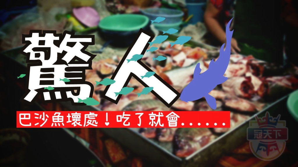 巴沙魚壞處