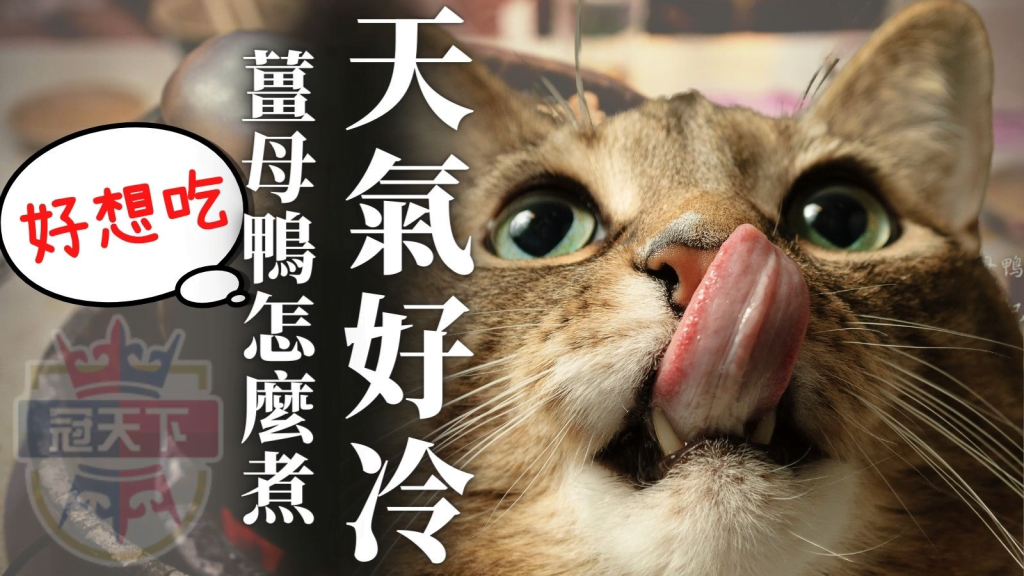 薑母鴨怎麼煮