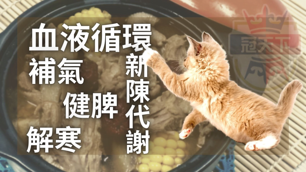薑母鴨怎麼煮