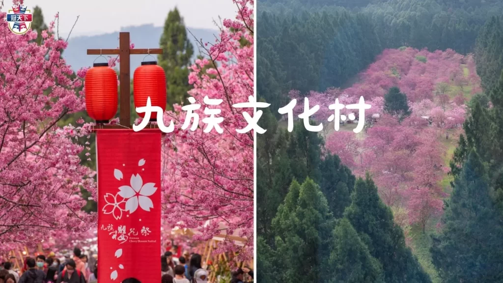2023台灣櫻花季