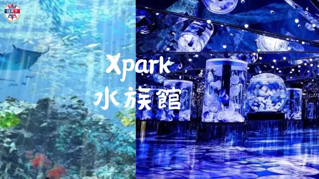情人節約會
