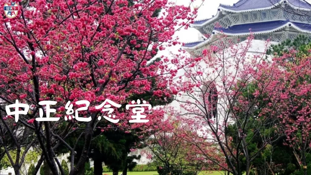 2023台灣櫻花季