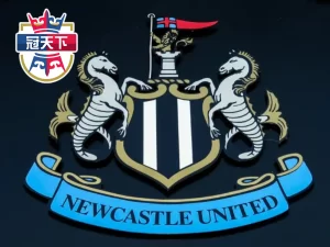 紐卡斯爾聯隊 紐卡斯聯 英超 Farhad Moshiri