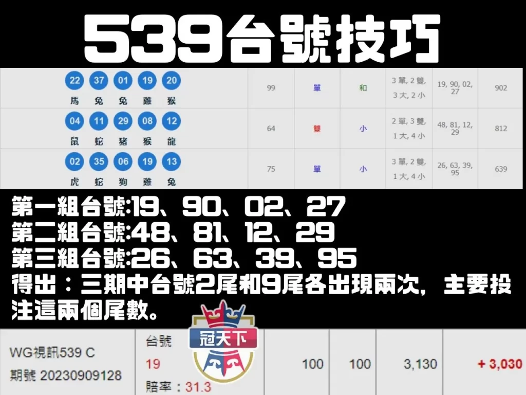 539台號技巧 539台號倍數 地下539賠率